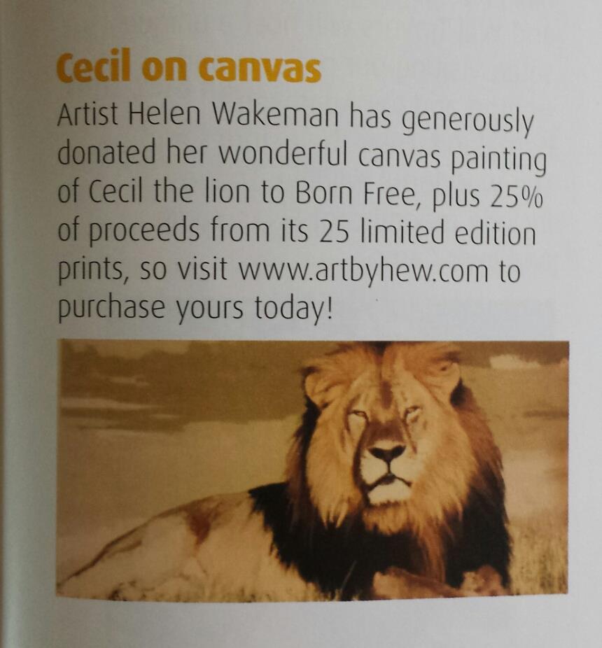 Reflection & Thanks 2015