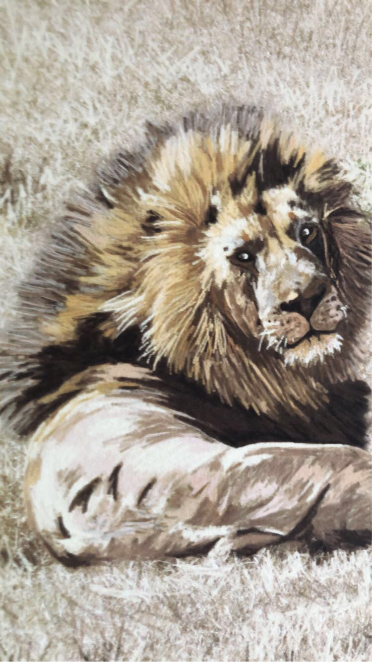 Aslan - Limited Edition Prints