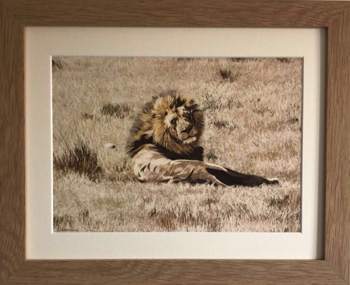 Aslan - Limited Edition Prints