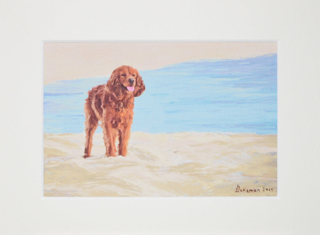 Setter By The Sea - Original