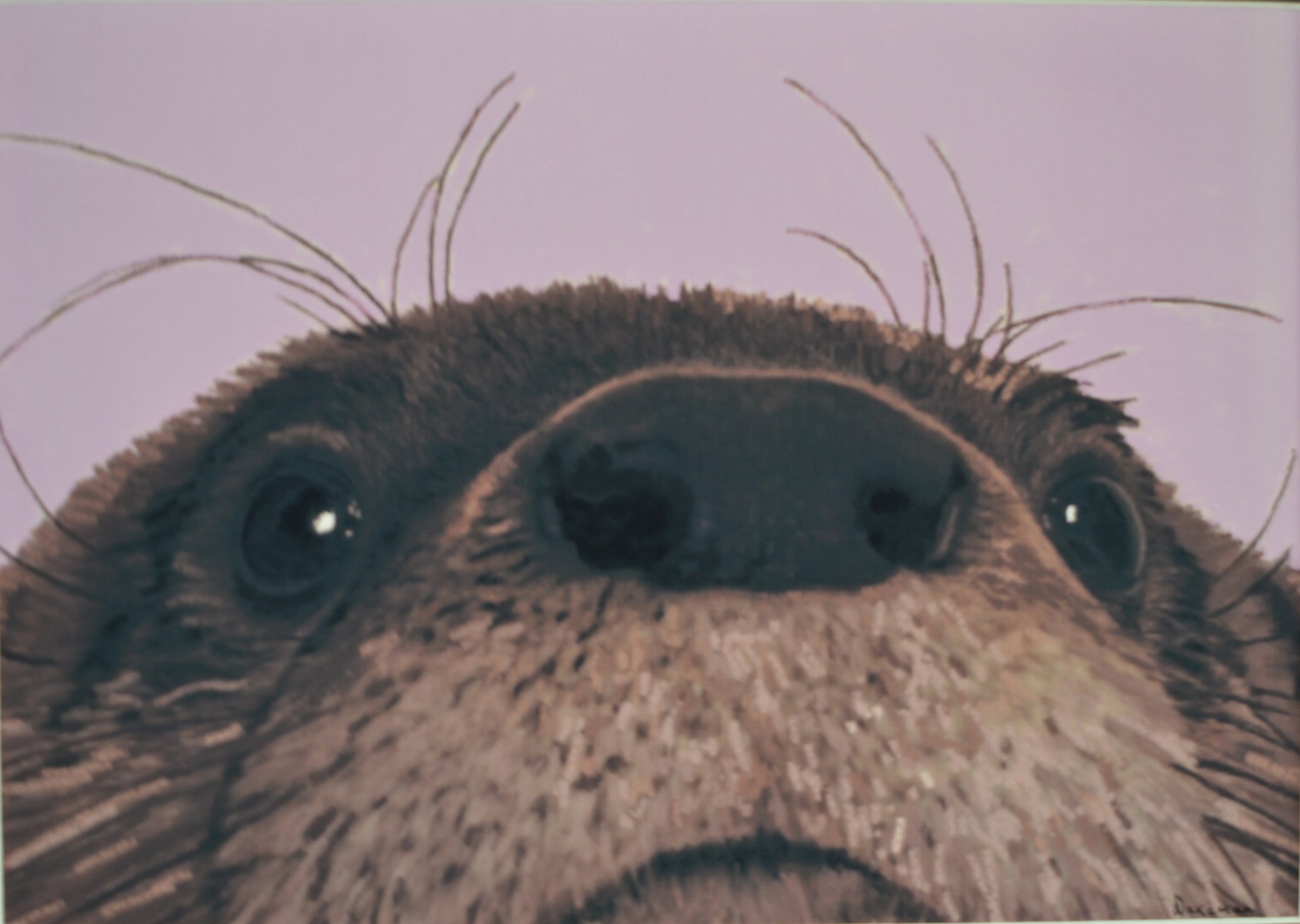 Utterly Otterly - Original