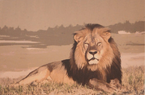 Cecil - Original