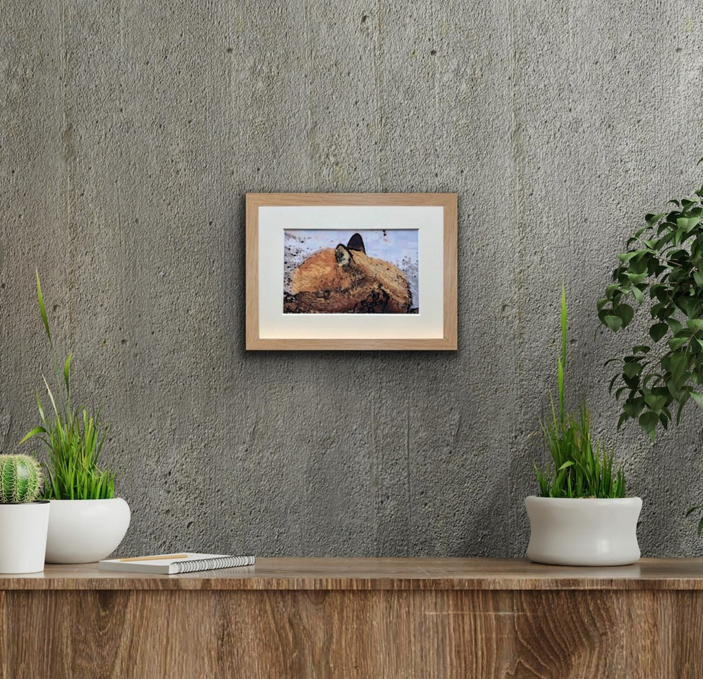 Fox Snuggling - Original