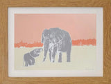 Mamas Ivory - Limited Edition Prints
