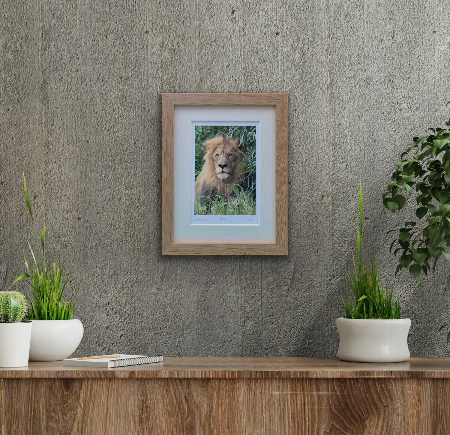 Leo - Limited Edition Prints