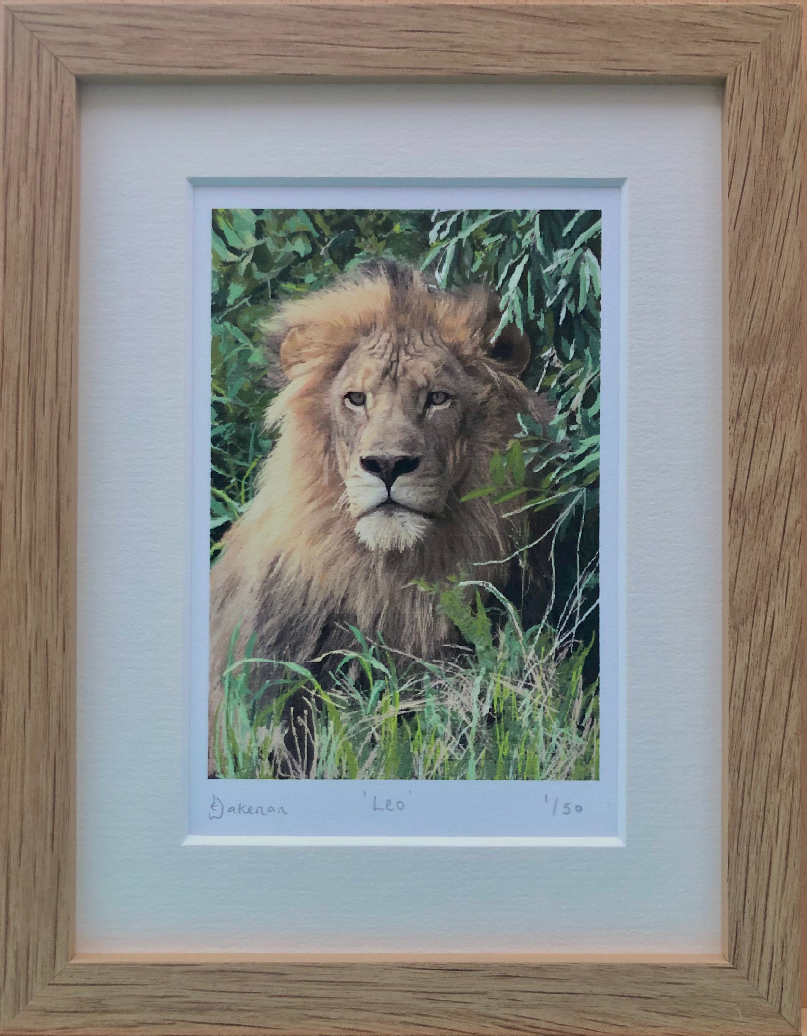 Leo - Limited Edition Prints