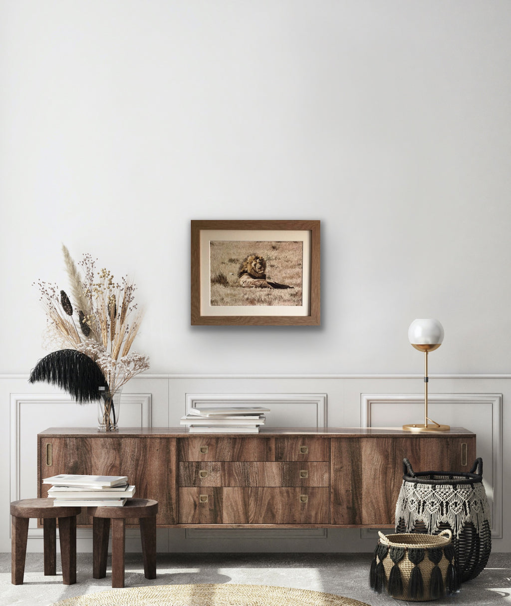 Aslan - Limited Edition Prints