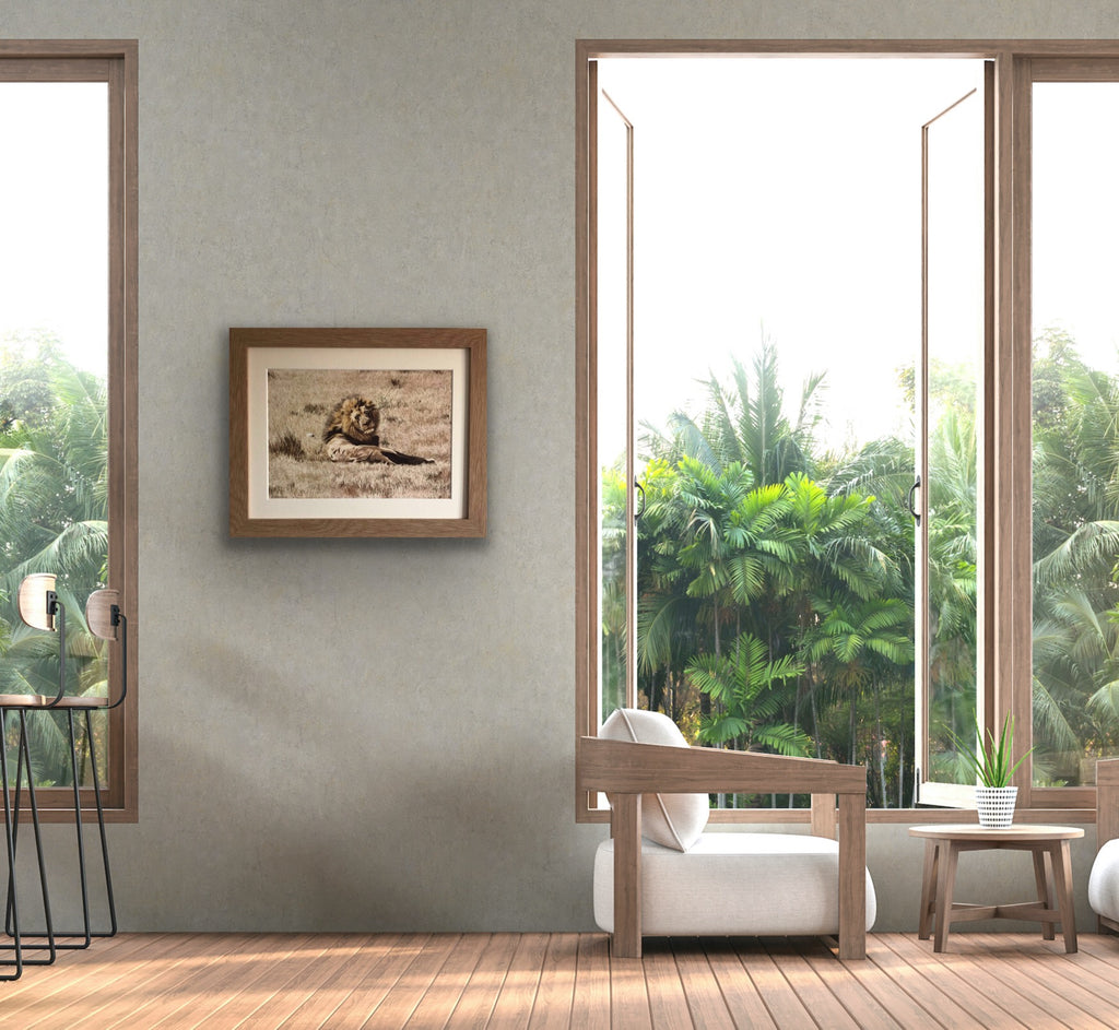 Aslan - Limited Edition Prints